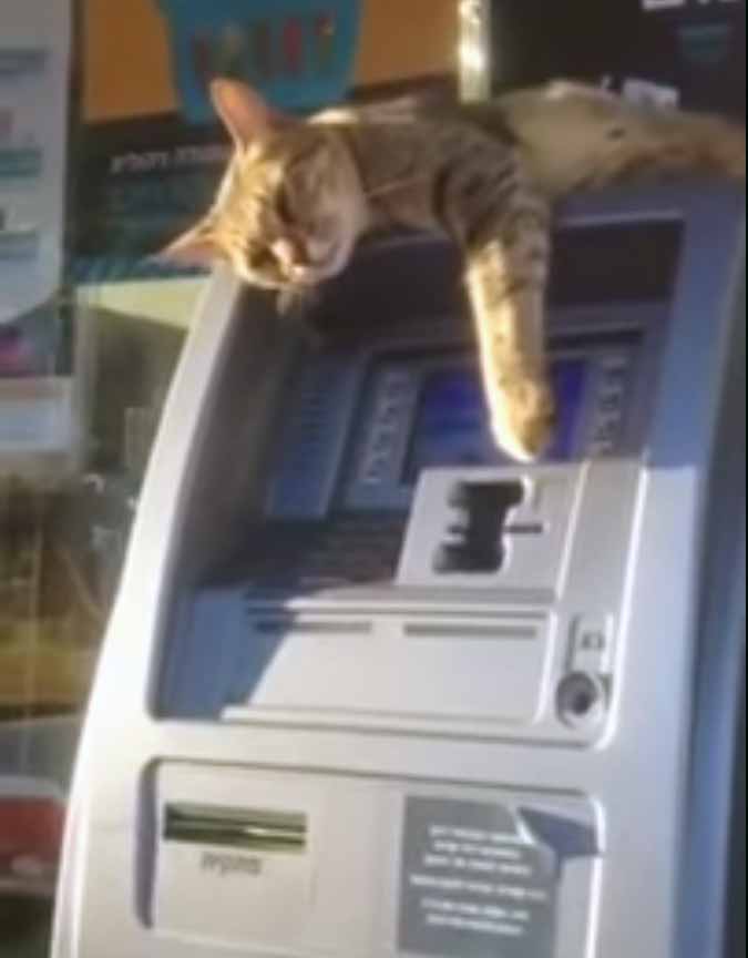 atm-cat-limits-cash-withdrawals