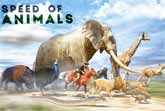 Epic Speed Comparison: Animals