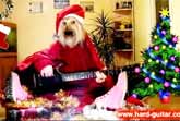 We Wish You A Merry Christmas  Dog Playing Guitar