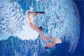 A Breathtaking Display of Trust: Sirca Marea's Aerial Act on AGT