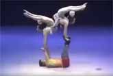 Amazing Acrobatic Dance