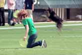 Amazingly Talented Dog - Philadelphia Eagles Halftime Show