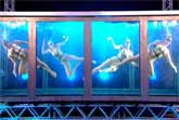 Aquabatique Water Ballet - Britain's Got Talent