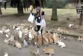 Attack Of The Japanese Rabbits