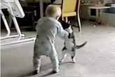 Baby vs Kitty