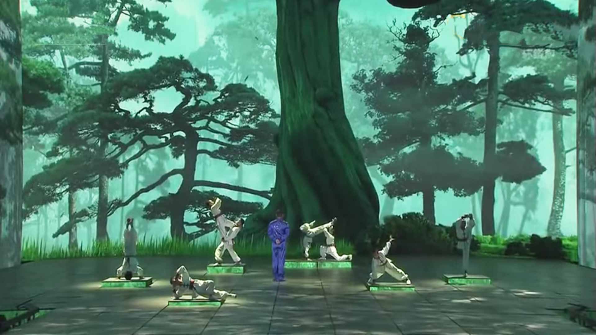 Beautiful Martial Arts Performance