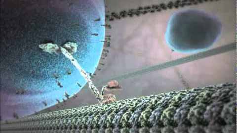 Nano Visualization - Life Inside a Cell