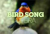 Bird Song Opera