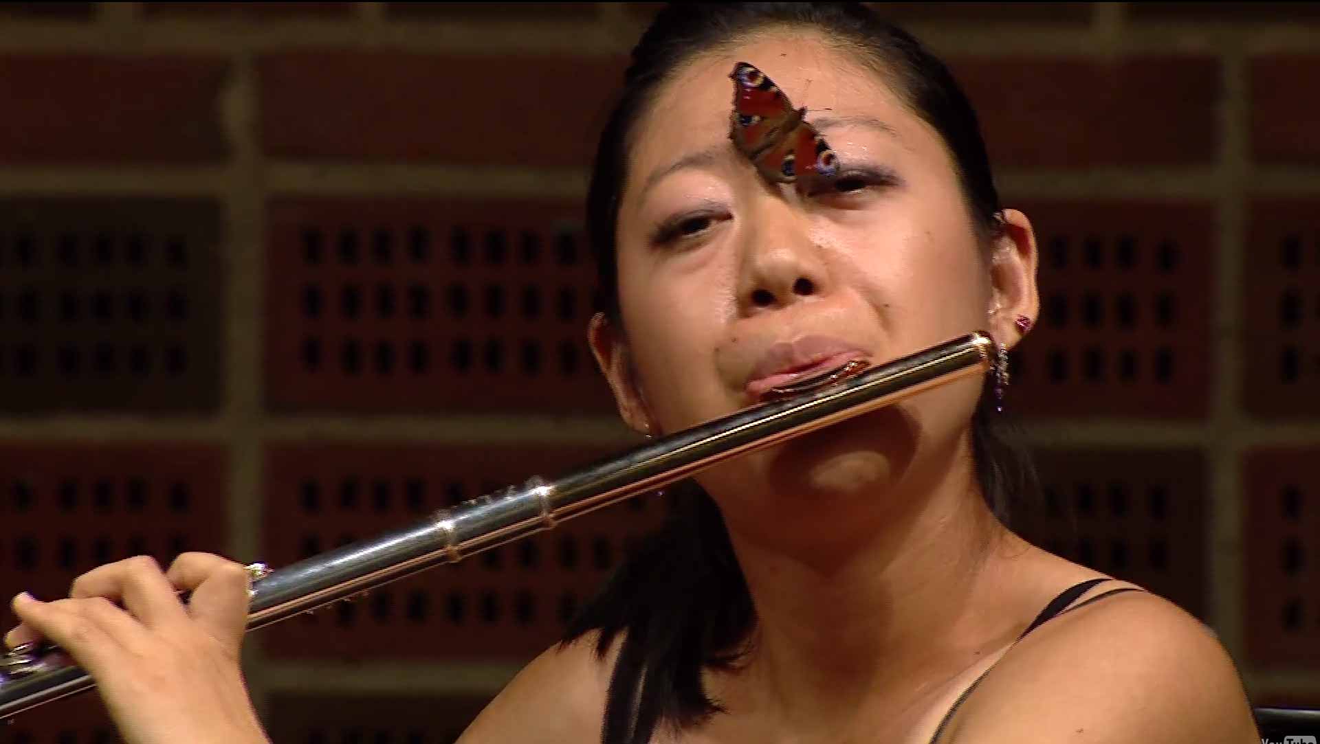 Butterfly Joins Flute Player Performance