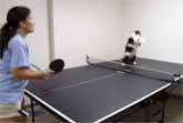 Cats Playing Ping Pong Compilation