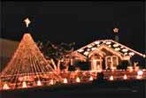 Christmas Lights Display