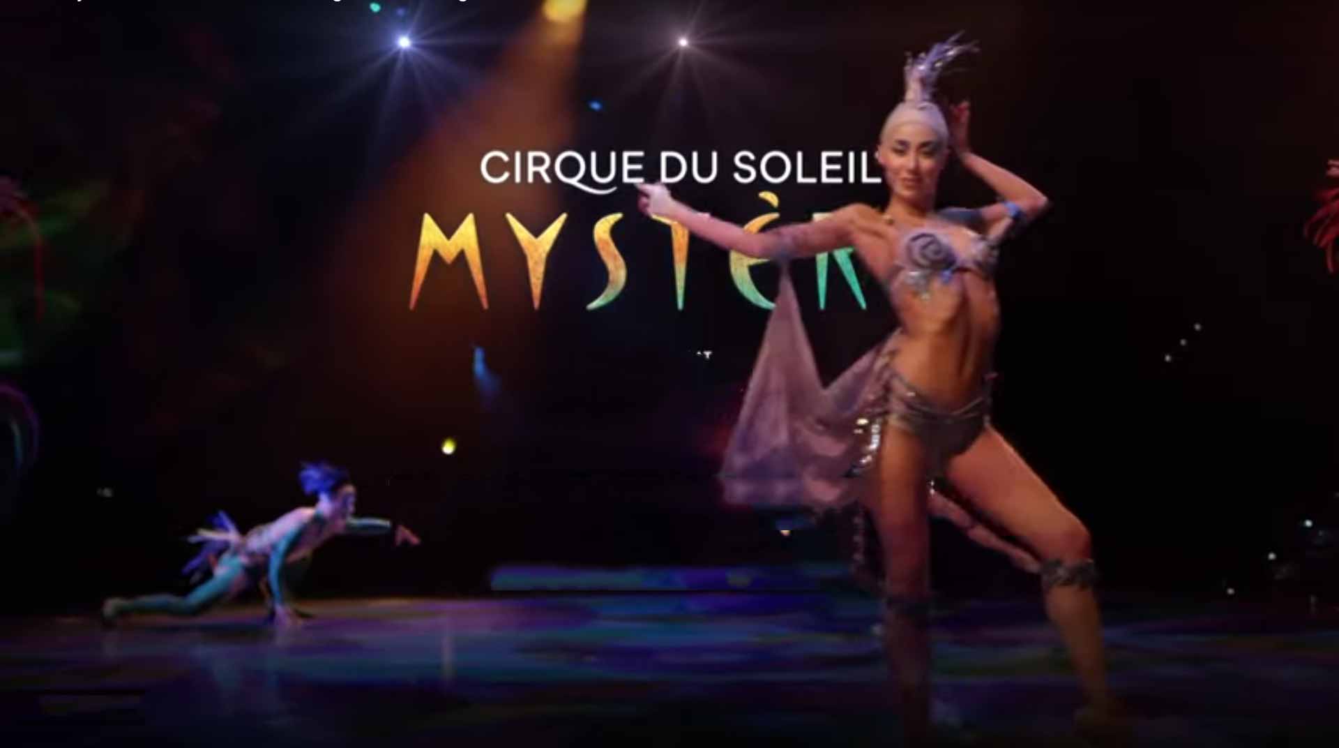 Cirque du soleil mystere performance