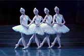 Dance of the Little Swans