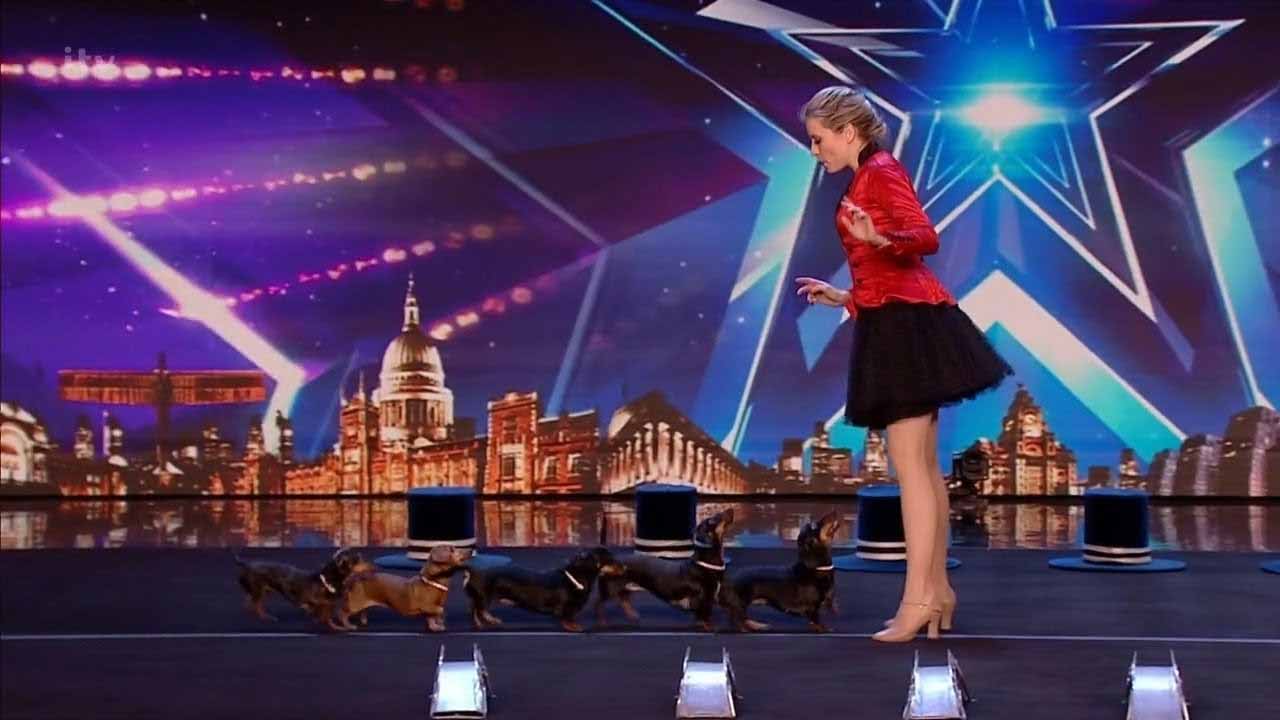 Diana Vedyashinka's Dog Show Britain's Got Talent 2020