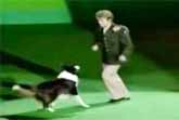 Dog Dancing - Glenn Miller - Hooked On Swing