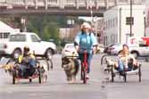 Dog Powered Scooters