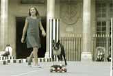 Dogs Skate In Paris