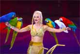 Elisa Cussadiè and Her Parrots - 45th International Circus Festival of Monte-Carlo 2023