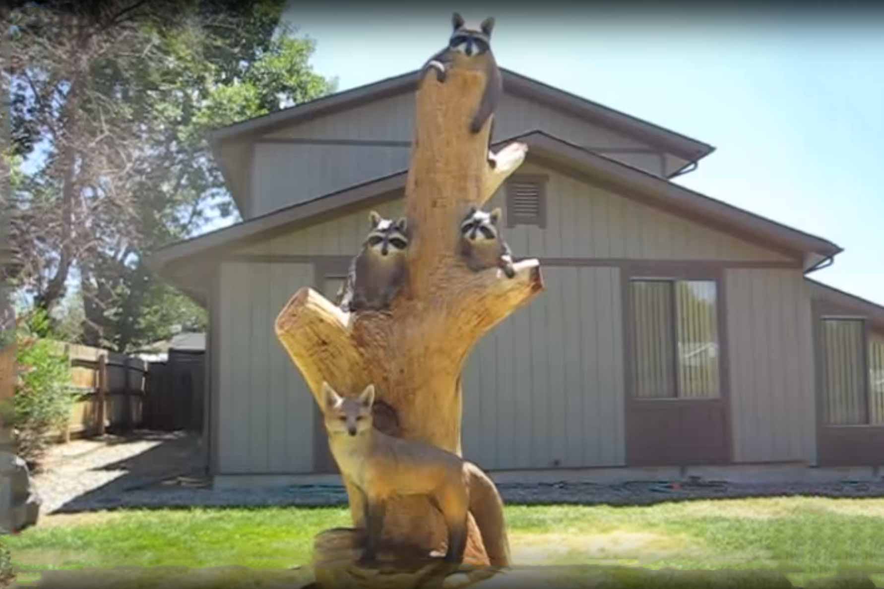 Enchanting Tree Carving