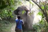 Fearless Man Stops Charging Elephant With A Wave Of His Hand