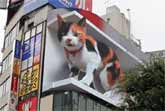 Giant 3D Cat In Tokyo