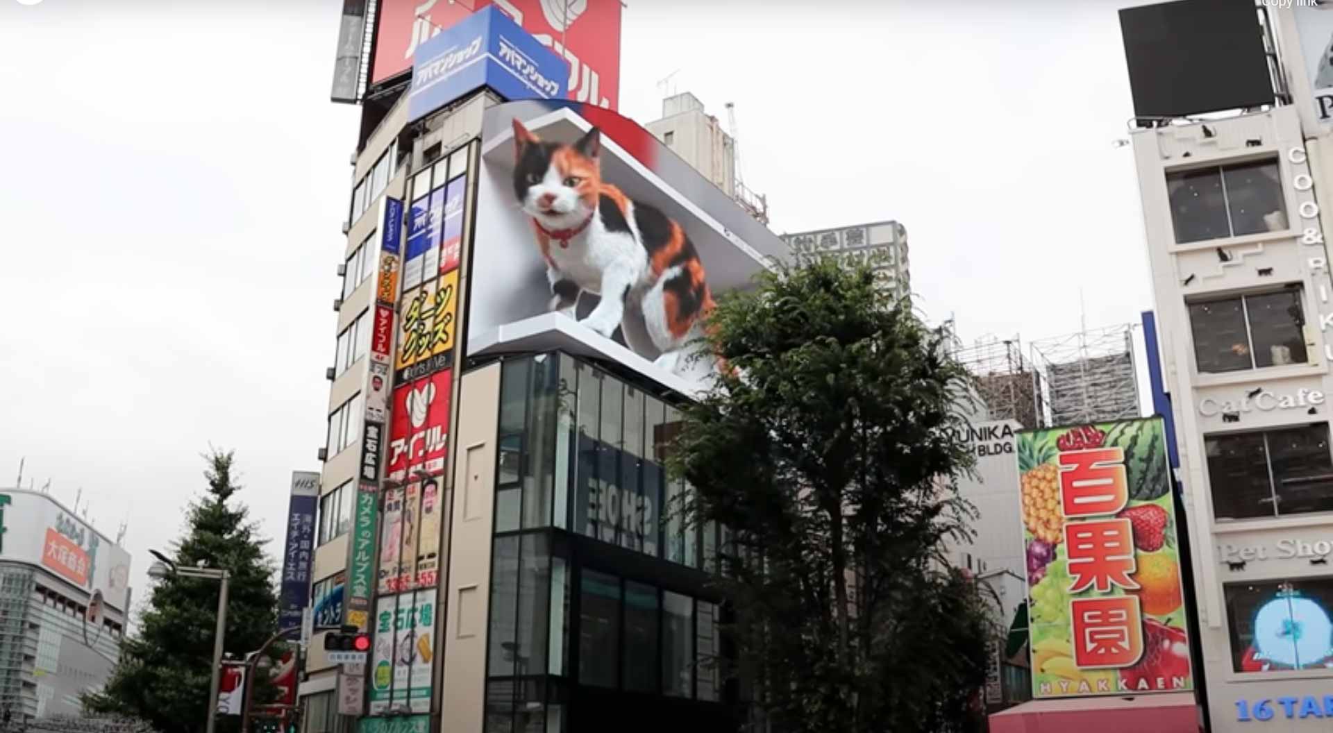 Giant 3d Cat In Tokyo