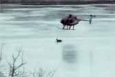Helicopter Blows Stranded Deer To Safety