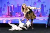 Hero The Super Collie And Sara Carson - Americas Got Talent 2017