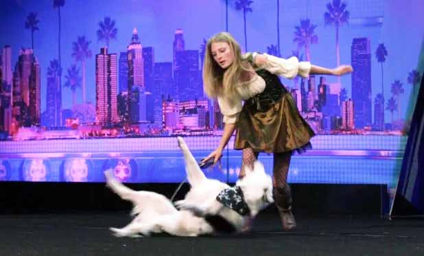 Hero The Super Collie And Sara Carson - America’s Got ...