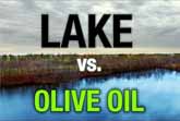How A Tablespoon Of Olive Oil Can Calm Half An Acre Of Waves On A Lake