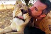How Lions Say Hello - The Lion Whisperer