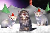 Jingle Cats "Silent Night"