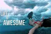 Life is Awesome 2014