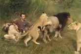 The Lion Whisperer