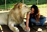 Lions Treat Woman As The Leader Of Their Pack