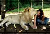 Lions Treat Woman Like the Leader of Their Pride