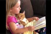 Little Girl Reads Bedtime Story To A Sleepy Cat