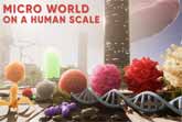 Microscopic World On A Human Scale