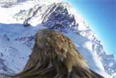 Mont Blanc From A Flying Eagle Point Of View