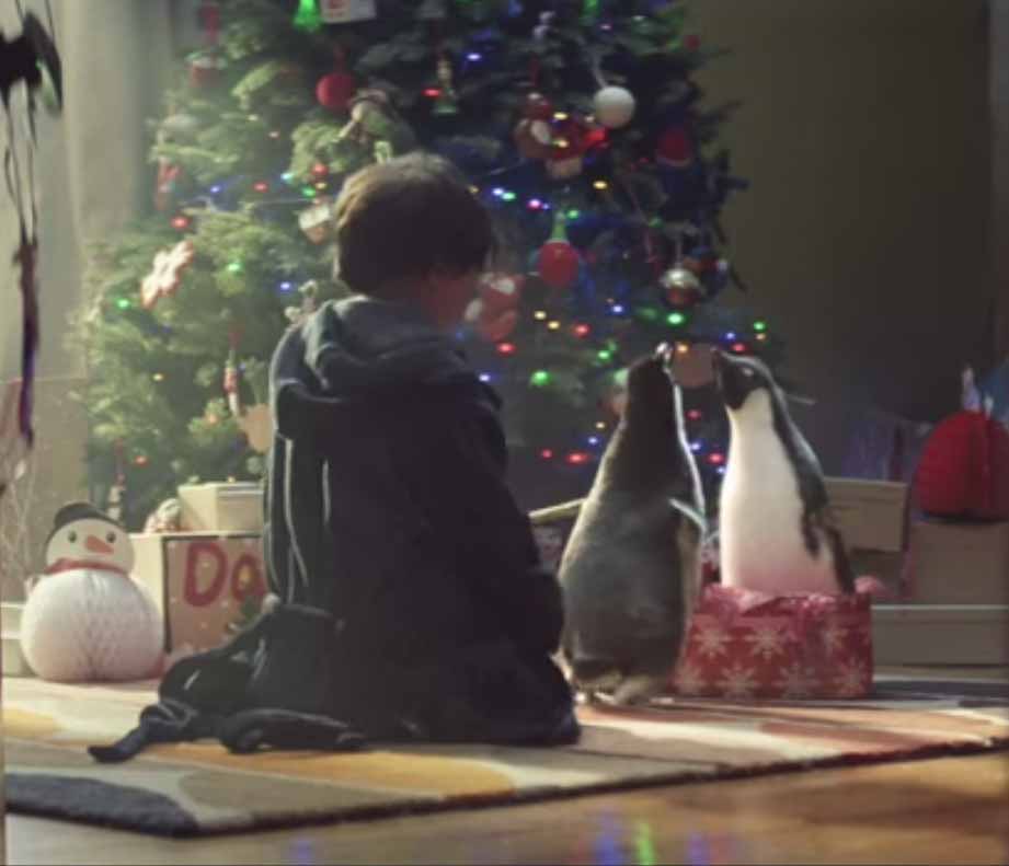 Monty The Penguin (John Lewis Christmas TV Ad)