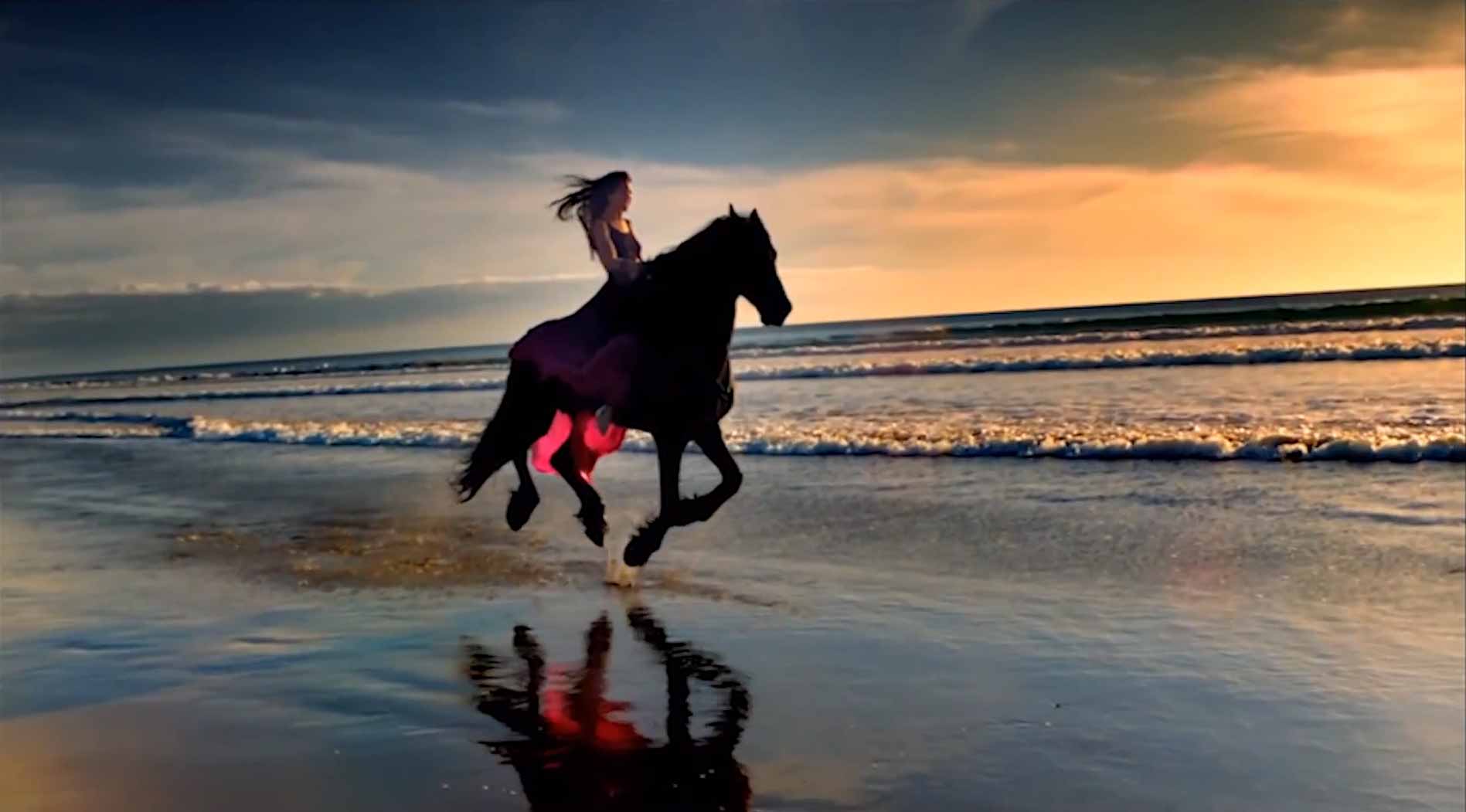 Скачут лошадки песня. Лошади и море. Лошади на закате. Лошадь скачет. Лошадь скачет по воде.