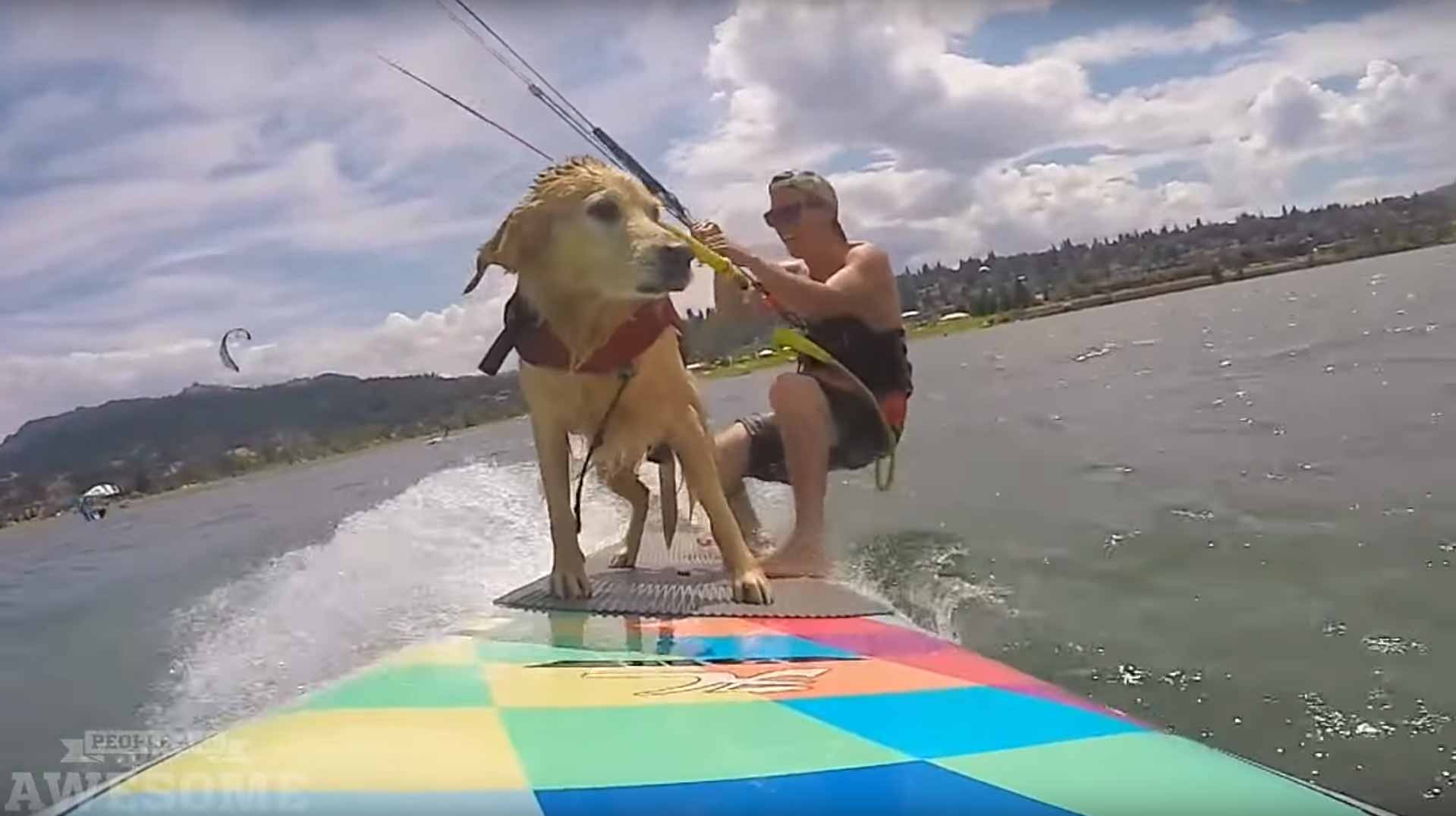 People Are Awesome Best Of 2015