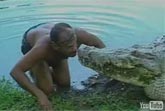 Pet Crocodile