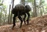 Quadruped Robot