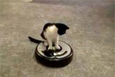 Roomba Driver