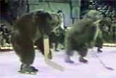 Russian Bears Playing Hockey