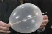 Skewer Through Balloon - Cool Science Experiment