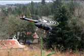 Skilled Helicopter Pilot Hauling Christmas Trees