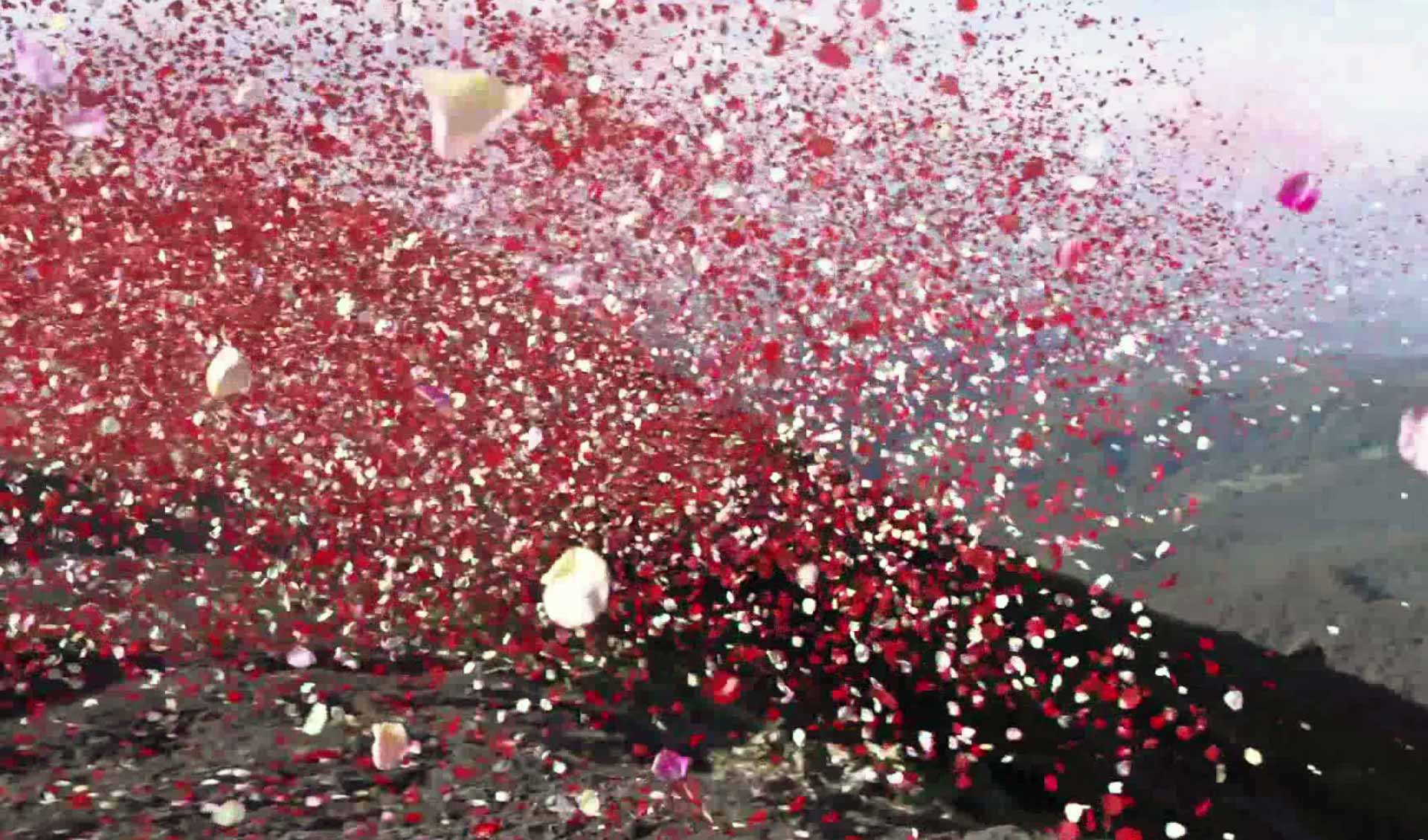 Sony Launches 8 Million Flower Petals From A Volcano To Promote Its 4k TVs
