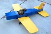 Squirrel Taking A Joy-Ride In A Model Airplane